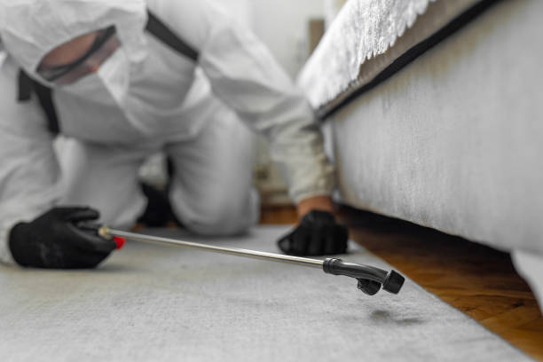 Professional Termite Control technician working in Silver Lake, OH