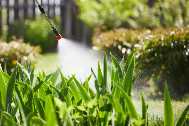 24/7 Emergency Termite Control experts in Silver Lake, OH