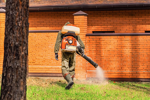 Top rated local Termite Control specialists in Silver Lake, OH